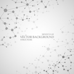 structure molecule and communication dna atom vector image