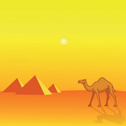 camel and pyramids vector image