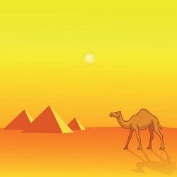 camel and pyramids vector