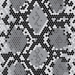 Snake skin texture with imitation of python Vector Image