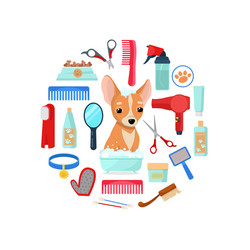 grooming tools and dog vector