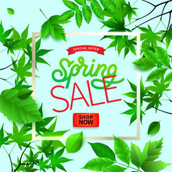 spring background with green leaves and frame vector image
