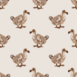 seamless pattern with dodo extinct birds vector image
