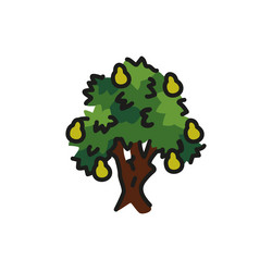 pear tree color line icon pictogram for web page vector image