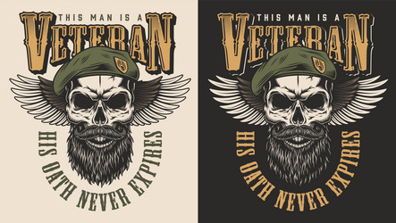 Skull Veteran Emblem Vector Image