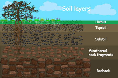soil layers diagram for layer vector image