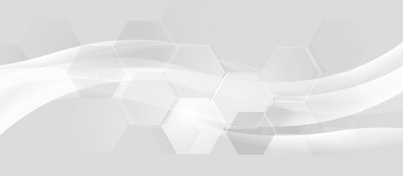 White Hexagonal Abstract Background vector image