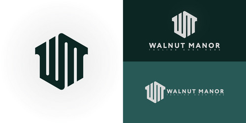 abstract initial hexagon letter wm or mw logo vector image