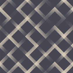 Linear Geometric Square Pattern vector image