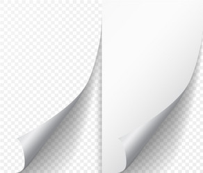 white page curl corner on blank sheet of paper vector image