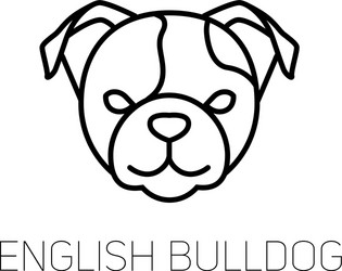 English Bulldog Linear Icon - Face Vector Image