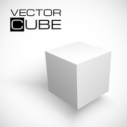 Isolated 3D Cube on White Background vector image