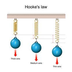 Hookes law vector