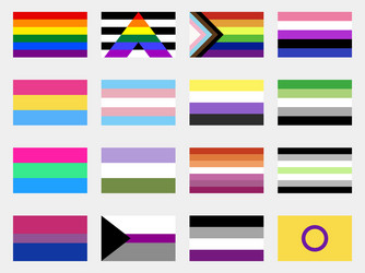 Lgbtq pride flags collection sexual identity vector