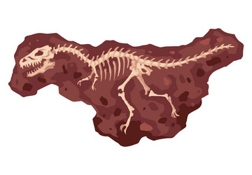 Dinosaur skeleton bone fossil excavation vector