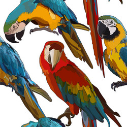 Seamless background with ara parrots vector