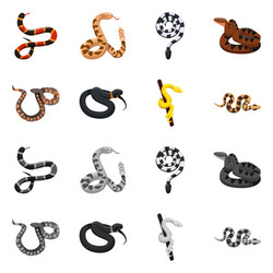 Design snake and creepy symbol set vector