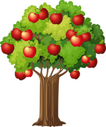Apple tree isolated icon Royalty Free Vector Image
