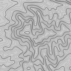 topographic map background with space for copy vector image