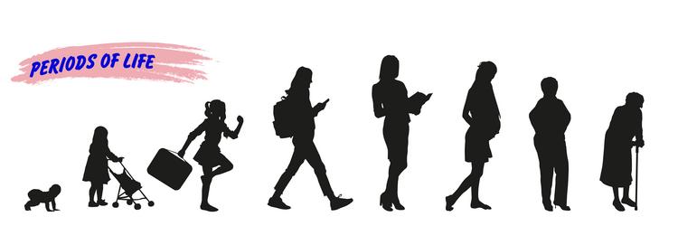 women stages of development silhouettes life vector