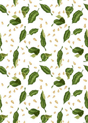 Seamless pattern for textile and print vector