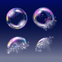 Realistic soap bubble set Royalty Free Vector Image