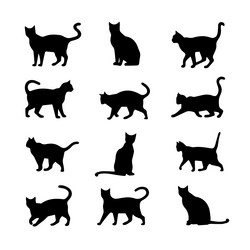 cat silhouette flat Vector Image