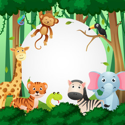 Wildlife animal in jungle with circular copy vector