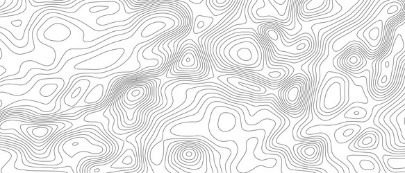 Topographic Line Map Pattern vector image