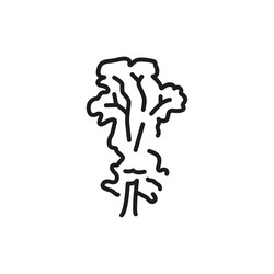 elm tree color line icon pictogram for web page vector image