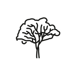 eucalyptus tree color line icon pictogram for web vector image