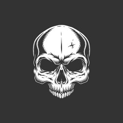 Monochrome Skull Illustration Vector Image