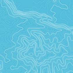 Topographic map background with space for copy vector