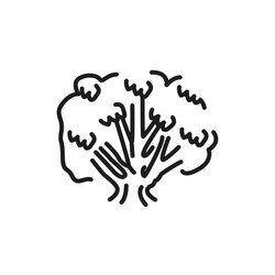 root tree color line icon pictogram for web page vector image