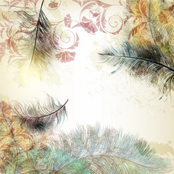 Background with bird feathers in realistic style Vector Image