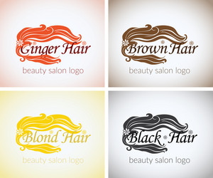 hair salon company identity logo design mock up Vector Image