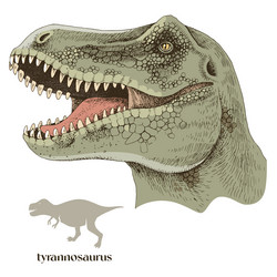 hand drawn realistic dinosaurus t-rex vector