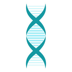 dna and molecule sign vector