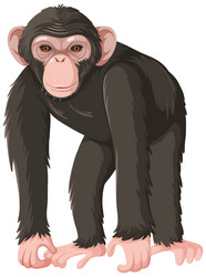 Ape Cartoon Vector Images (over 14,000) Ape Cartoon Vector Images (over 14,000)