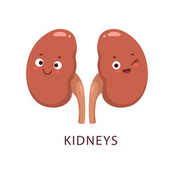 cartoon kidneys human bogy organ comical character vector