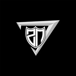 initial letter z n shield shape with triangular vector image