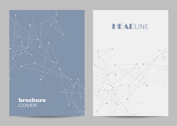 geometric pattern with connected lines and dots vector image