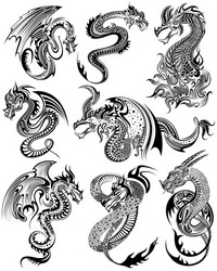 Furious Dragon Art Collection Vector Image