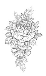 Hand-Drawn Floral Rose Composition Vector Image