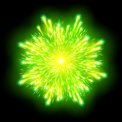 festive patterned firework bursting in various vector image