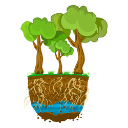 Trees with root system in soil vector