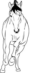 Elegant Horse Sketch Vector Image