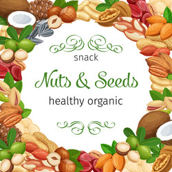 template with nuts and seeds vector