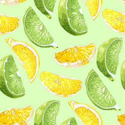 Seamless pattern with citrus slices of lemon vector