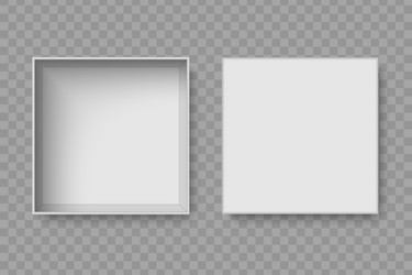 top view open blank box vector image